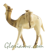 Camel 20 cm with Jars 